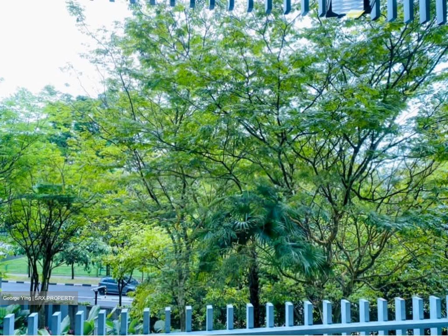 Hundred Trees (D5), Condominium #566260661